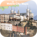 Lyon Street Map